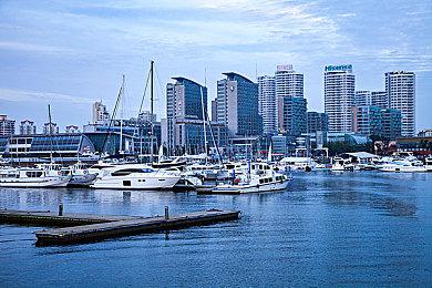 土肥圆！《刺客信条：影》首席女编剧被国外网友找到